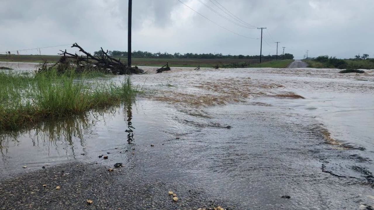 Entre los rescates realizados se encuentran
<b>47 perros y 30 gatos provenientes del condado Kendall</b>, además de
<b>25 gatos de Boerne Animal Care Services</b>. Los animales fueron evacuados para liberar espacio en refugios y permitir que más mascotas afectadas puedan recibir atención.
<br>
<br>La organización explicó que las condiciones en algunas zonas han sido complicadas debido a
<b>carreteras rurales y puentes cubiertos por el agua</b>, lo que ha dificultado que los equipos lleguen hasta los animales que necesitan ayuda.