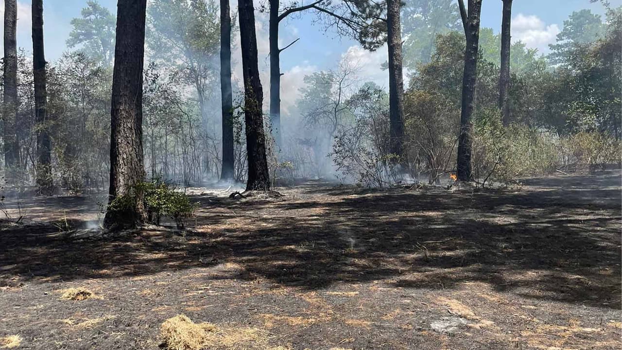 80 bomberos logran controlar incendio forestal al noroeste de Houston: un hombre murió