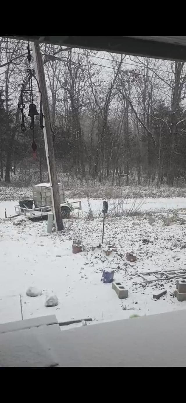 Según el residente de Splendora, Texas, Pedro Ventura,
<b>así amaneció su vecindario. </b>
<br>
<br>"🥶🥶🥶🥶", comentó Ventura.