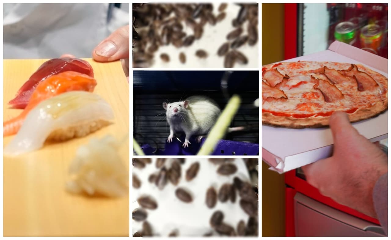 Ratas, moscas y cucarachas en negocios de comida en Miami, Aventura y Plantation