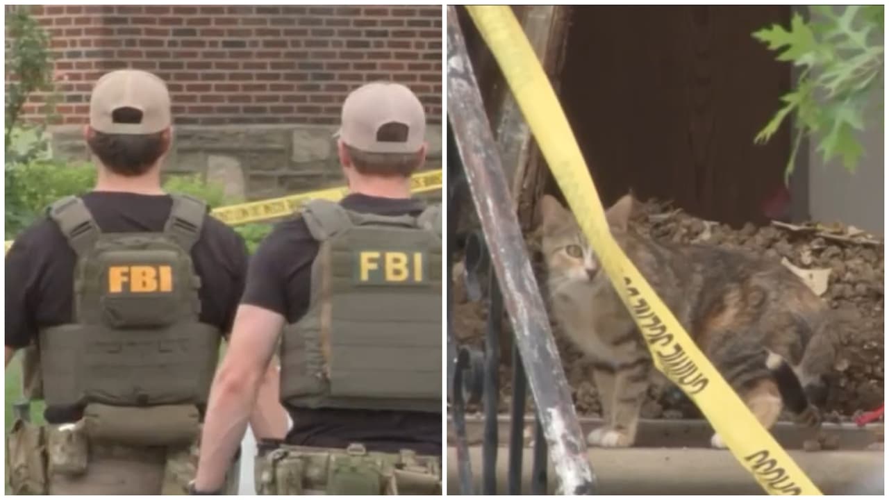 Dos niños y 38 gatos vivían entre basura, heces y orina; son rescatados en Filadelfia tras operativo del FBI