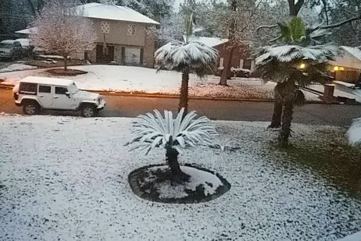 Muchos aprovecharon el raro evento para tomarse fotos, jugar con la nieve y construir el tradicional muñeco navideño.