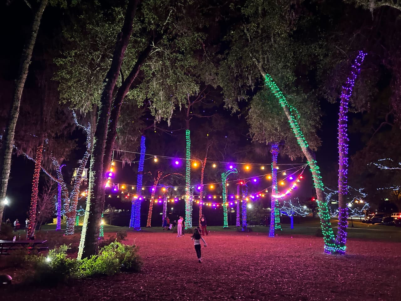El recorrido por este tranquilo lugar simula un laberinto de árboles completamente iluminados en colores.