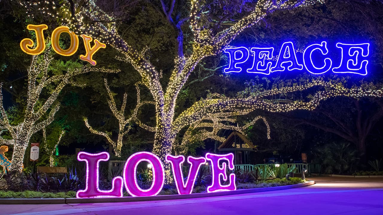 Las luces de
<a href="https://www.univision.com/temas/navidad">Navidad</a> del zoológico es una de las atracciones más tradicionales de la ciudad. Un mundo mágico que es disfrutado por adultos y pequeños.