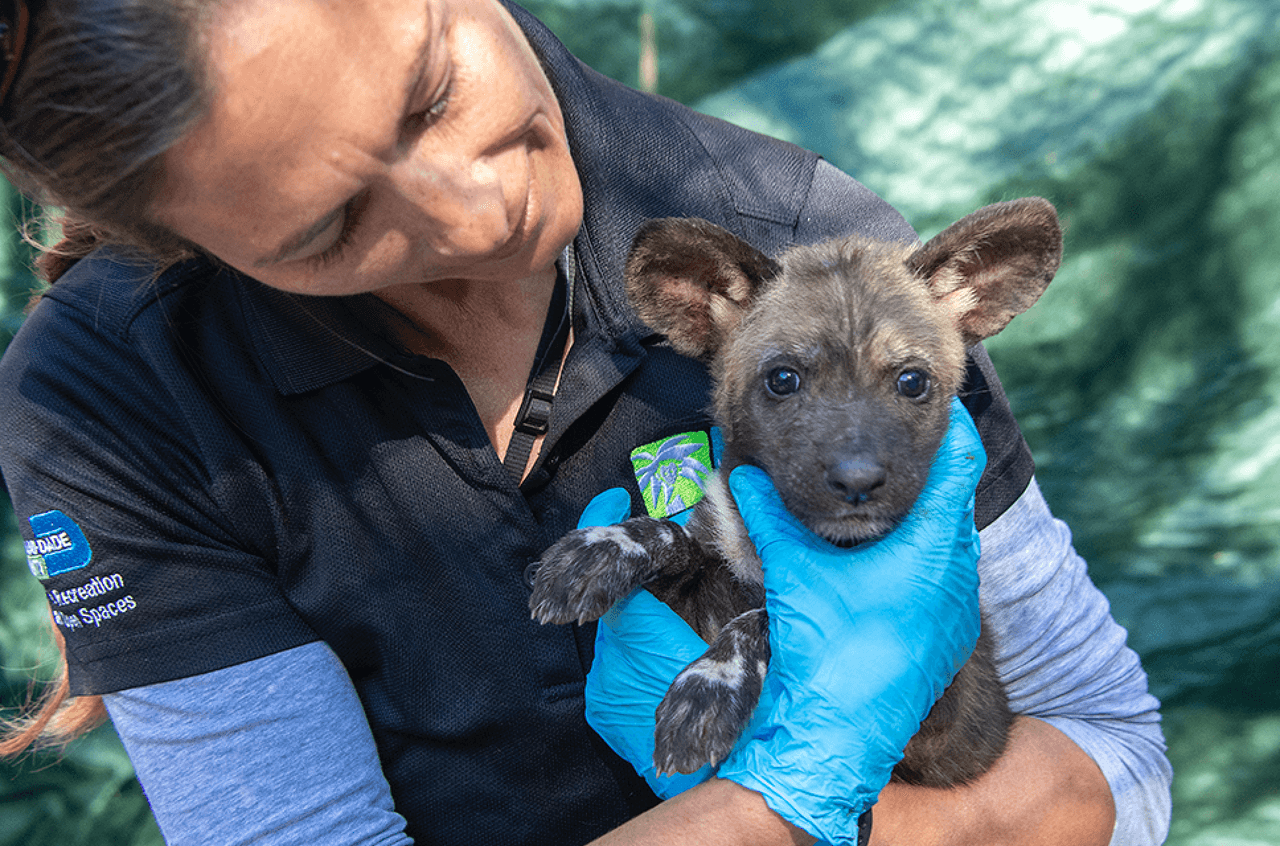 A los recién nacidos también les hicieron la extracción de sangre y exámenes físicos generales.