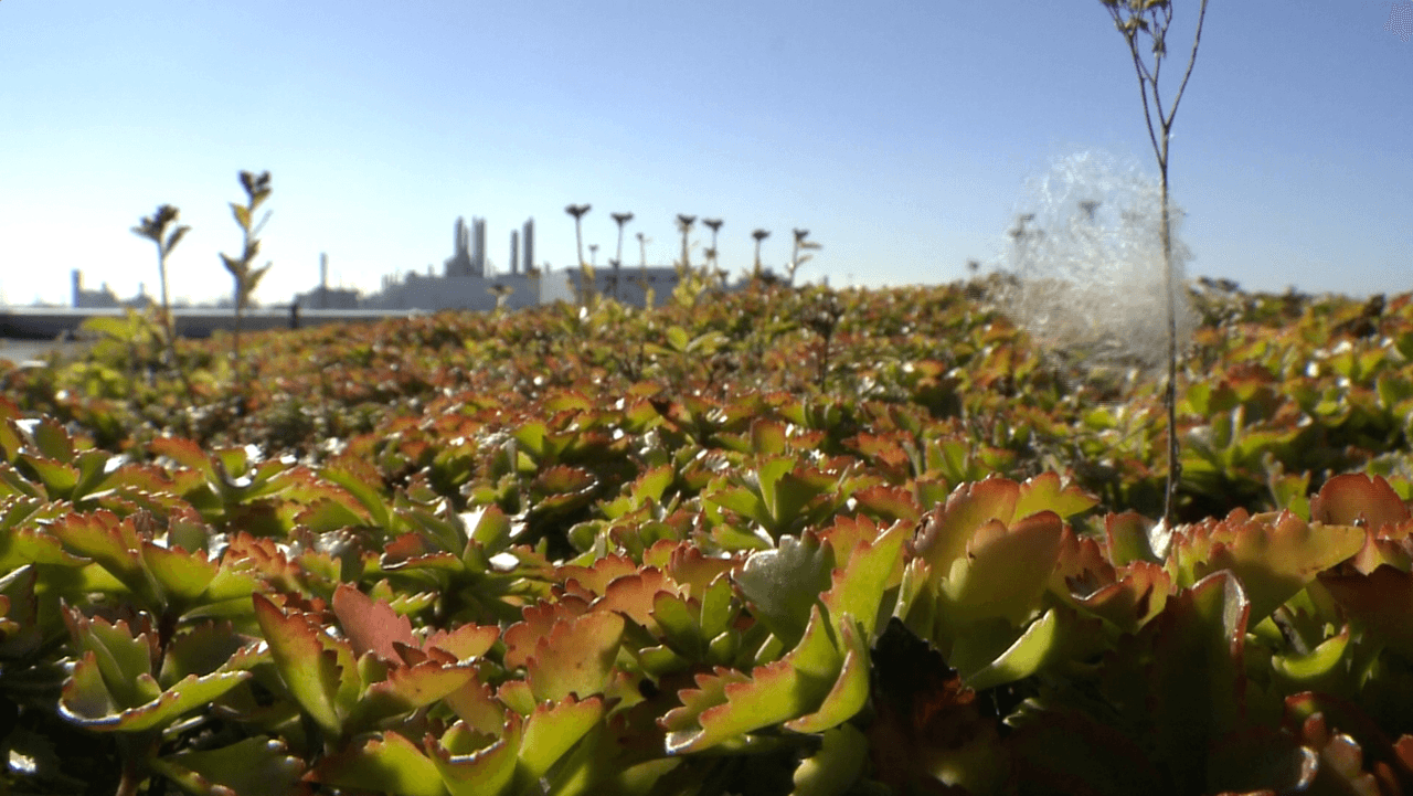Agua y aire limpios son algunas de las emisiones de esta fábrica de camiones