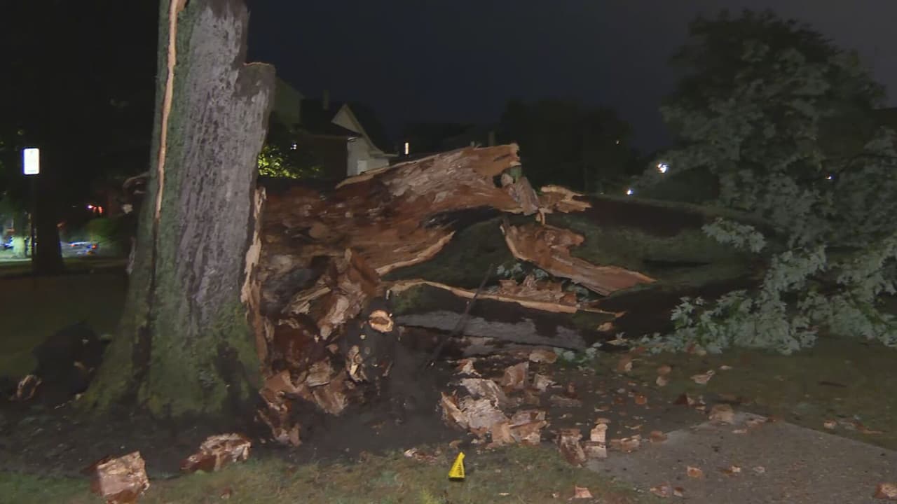 En Evanston el equipo de Univision Chicago constató árboles caídos, que afectaron el servicio eléctrico de residentes. Las labores para restituir el servicio iniciaron a las 7 p.m.