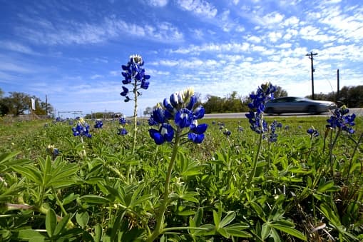 Esta ciudad cerca de Austin es considerada la más segura de Texas