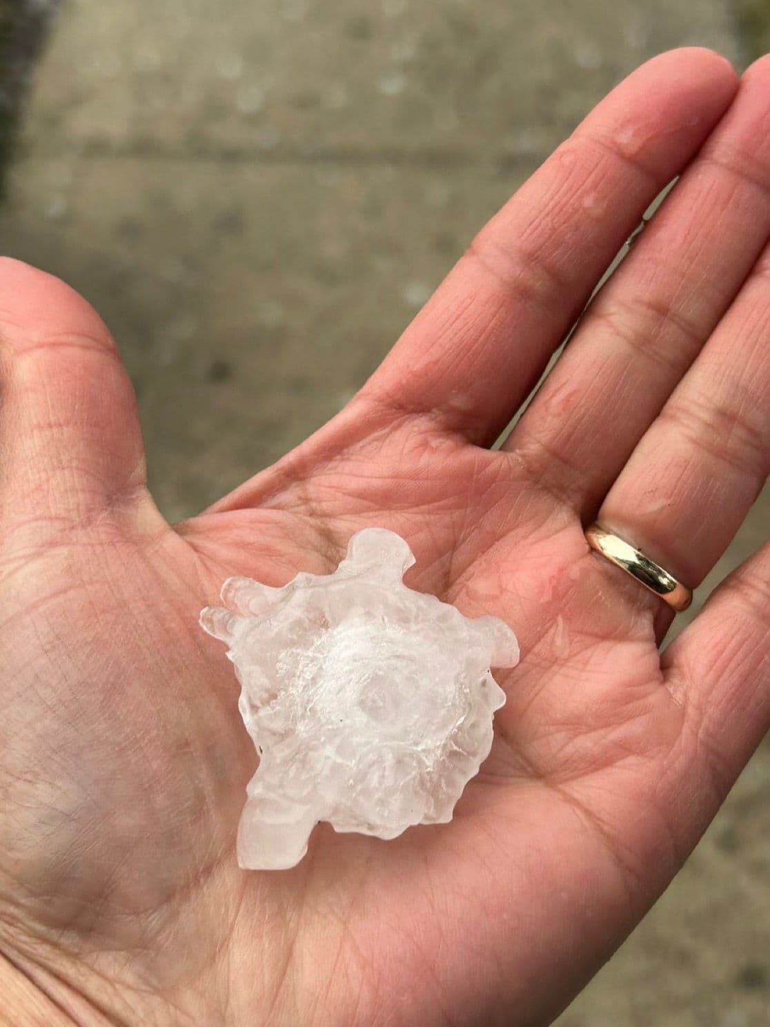 El
<a href="http://uni.vi/3TvQ106vGTj" target="_blank">tiempo severo anunciado en Chicago</a>,dejó granizo del tamaño de una canica o una pelota pequeña en varias zonas de la Ciudad.
