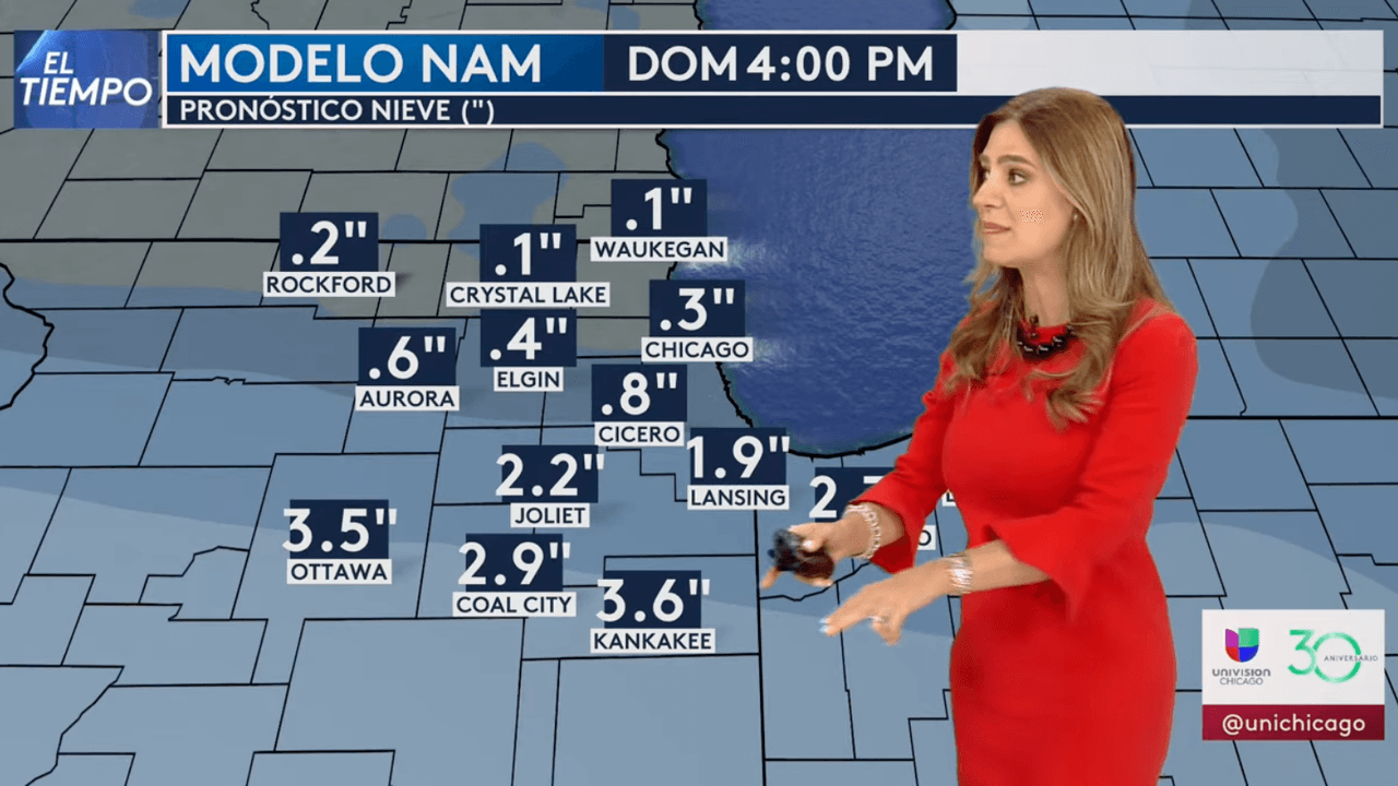En esta gráfica podemos ver los acumulados de nieve que se esperan para el domingo por la tarde, según el modele NAM.