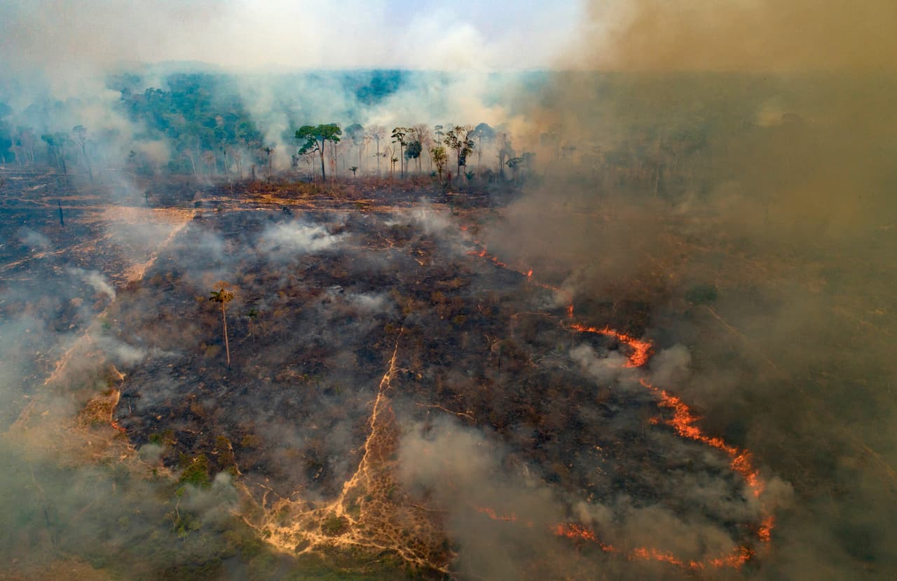 Un incendio forestal consume tierras recientemente deforestadas por ganaderos cerca de Novo Progresso, estado de Para, Brasil, 23 de agosto de 2020.