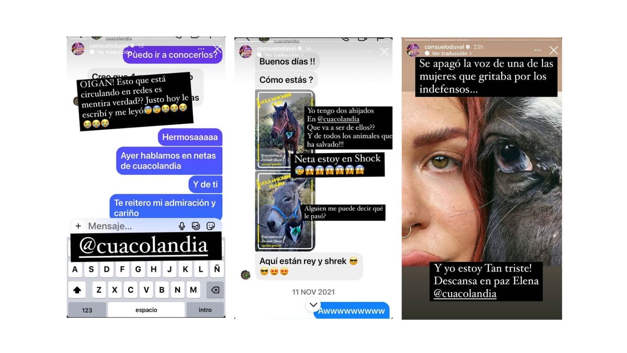 Los mensajes que Consuelo Duval envió a Elena Larrea.