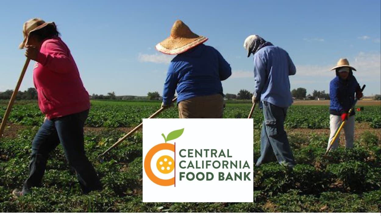 Trabajadores agrícolas del condado de Kern recibirán apoyo para alimentar a sus familias