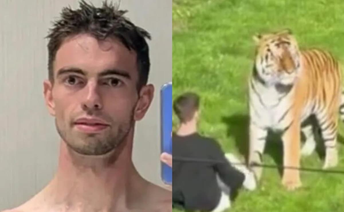 Identifican al hombre que murió al ser atacado por un tigre en un zoológico de Reino Unido