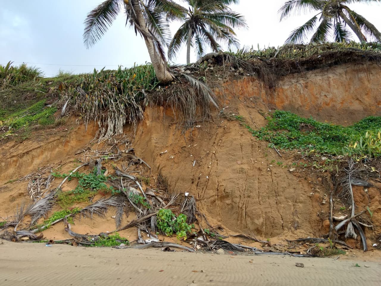El Departamento de Recursos Naturales, el Cuerpo de Ingenieros, la Agencia Estatal para el Manejo de Emergencias, el Municipio de Arecibo y los residentes de Barrio Obrero fueron citados a la inspección ocular.
<br>