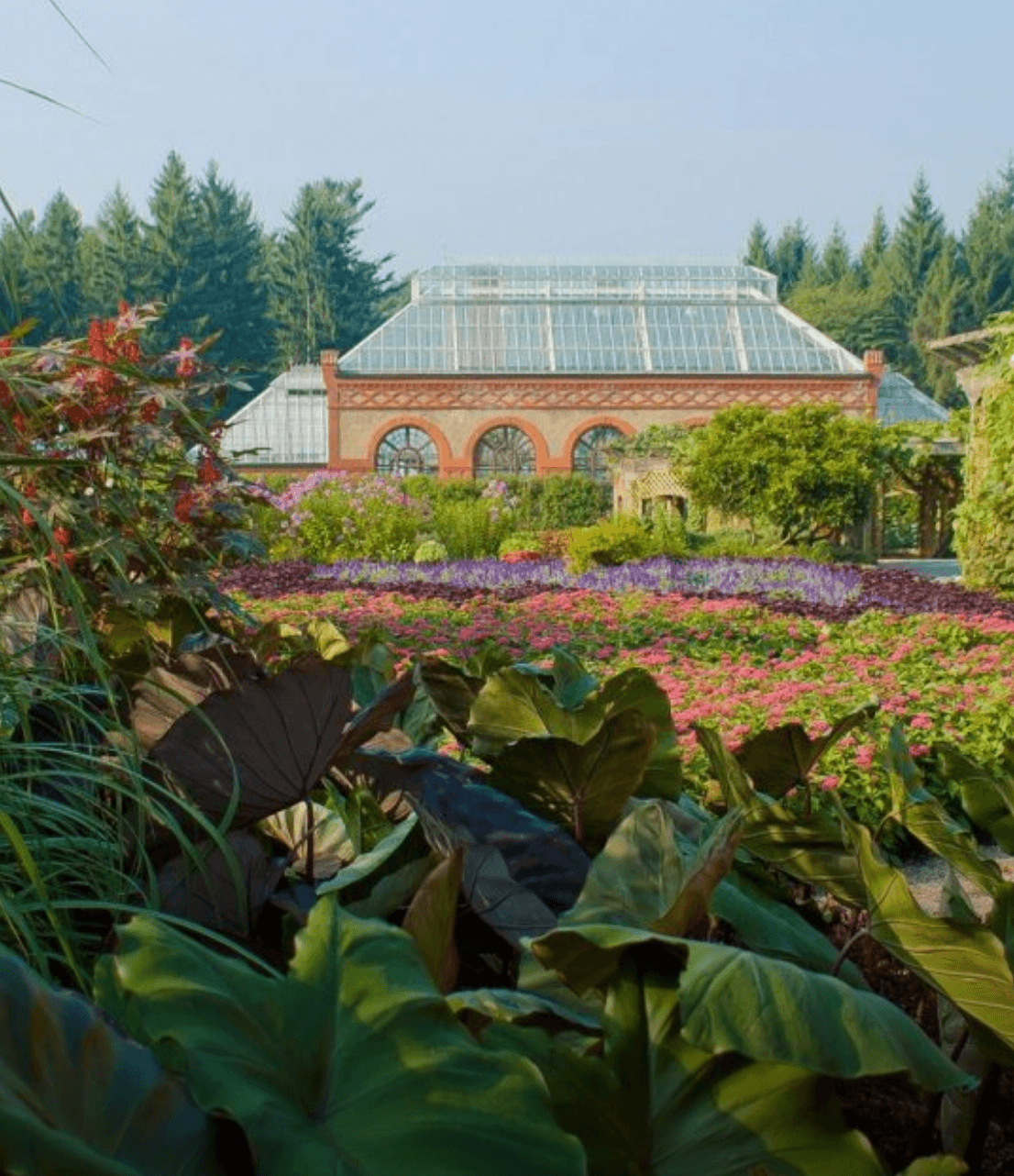 El Biltmore Azalea Garden cuenta con jardines formales e informales diseñados por el arquitecto y paisajista Frederick Law Olmsted. Desde la belleza del jardín italiano hasta la majestuosidad de su bosque, los impresionantes paisajes y jardines de Biltmore son perfectos para disfrutar en la primavera.