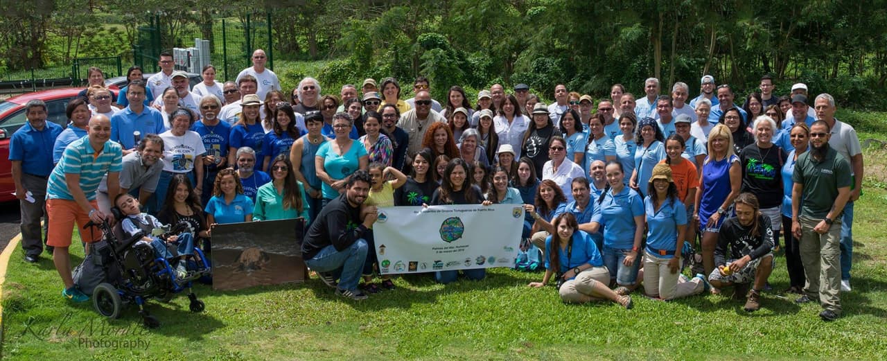 Más de 100 voluntarios protegerán a las tortugas marinas