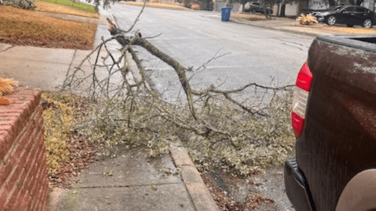 Otra rama quedó en la banqueta y cerca de una camioneta en San Antonio.