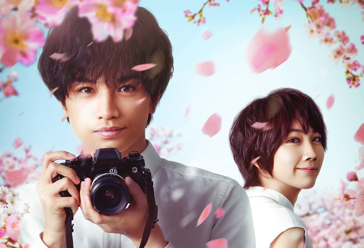 Película 'Efímera como la sakura'