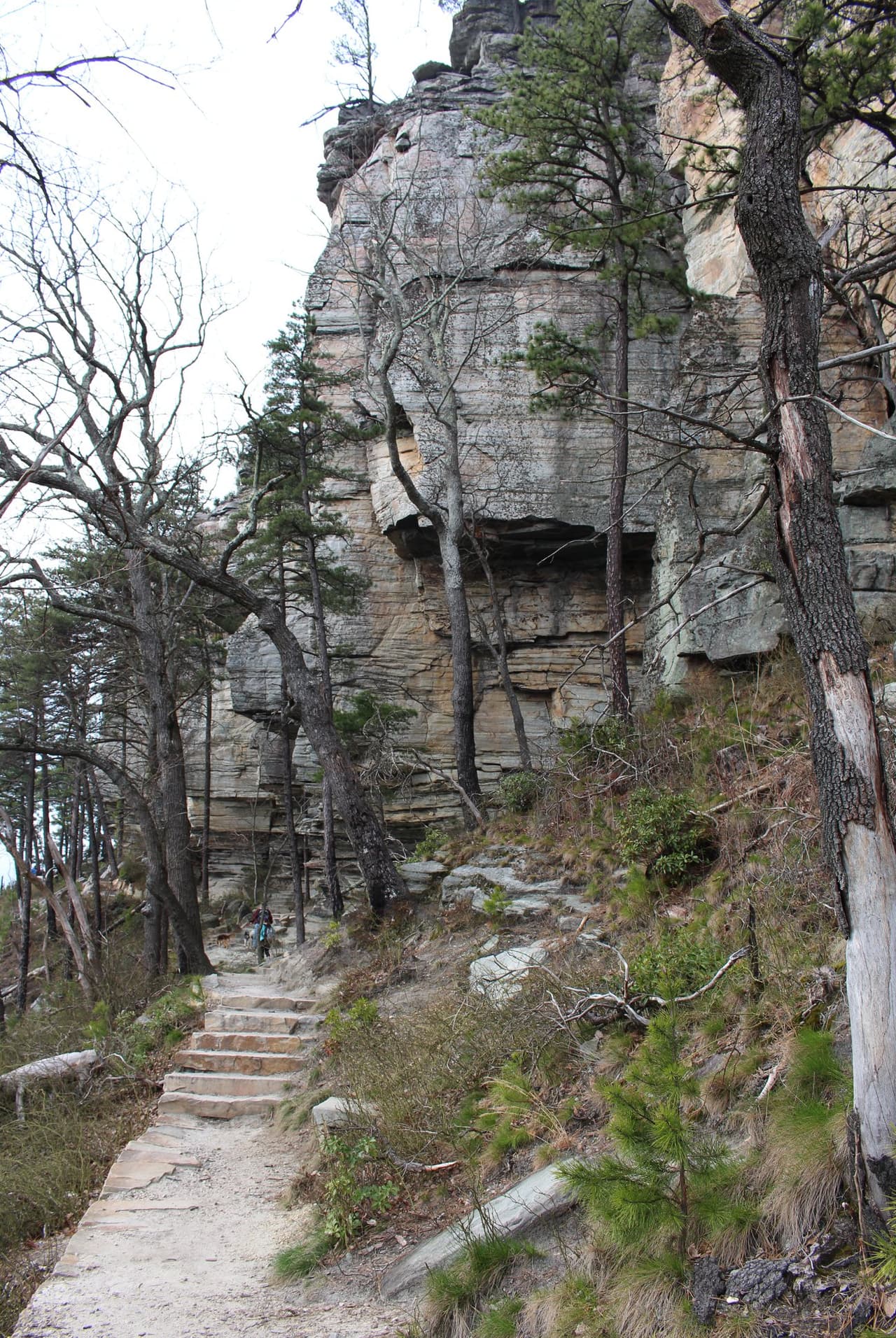 Hoy en día puedes elegir tu propia aventura al visitar el parque, ya sea caminando o en bicicleta.