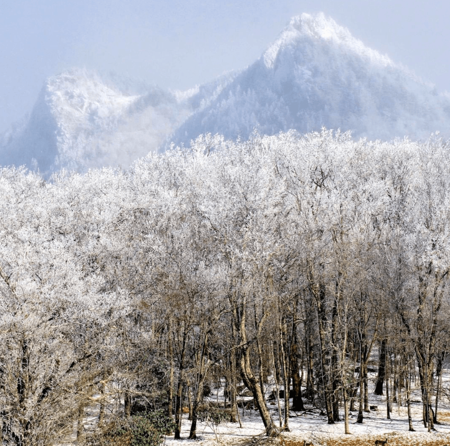 Pronostican que las ráfagas de viento al noroeste de Grandfather Mountain iniciarián en 18 mph, pero podrían aumentar entre 24 a 29 mph después de la medianoche.