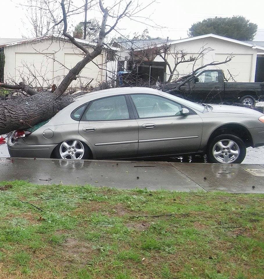 Lo que el viento de El Niño dejó en el sur de California