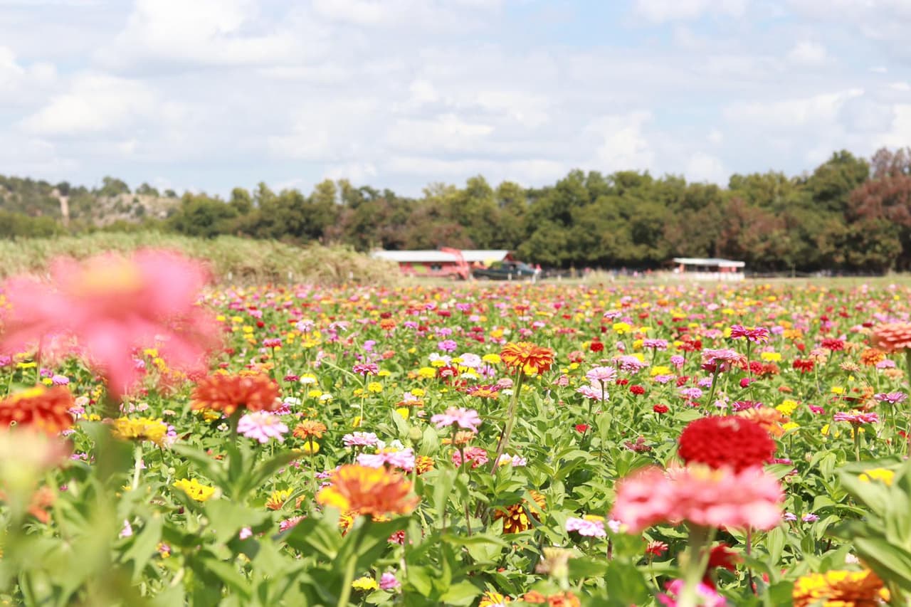Esta es la dirección si deseas buscarlo por GPS: 1801 FM1980, Marble Falls, TX 78654.