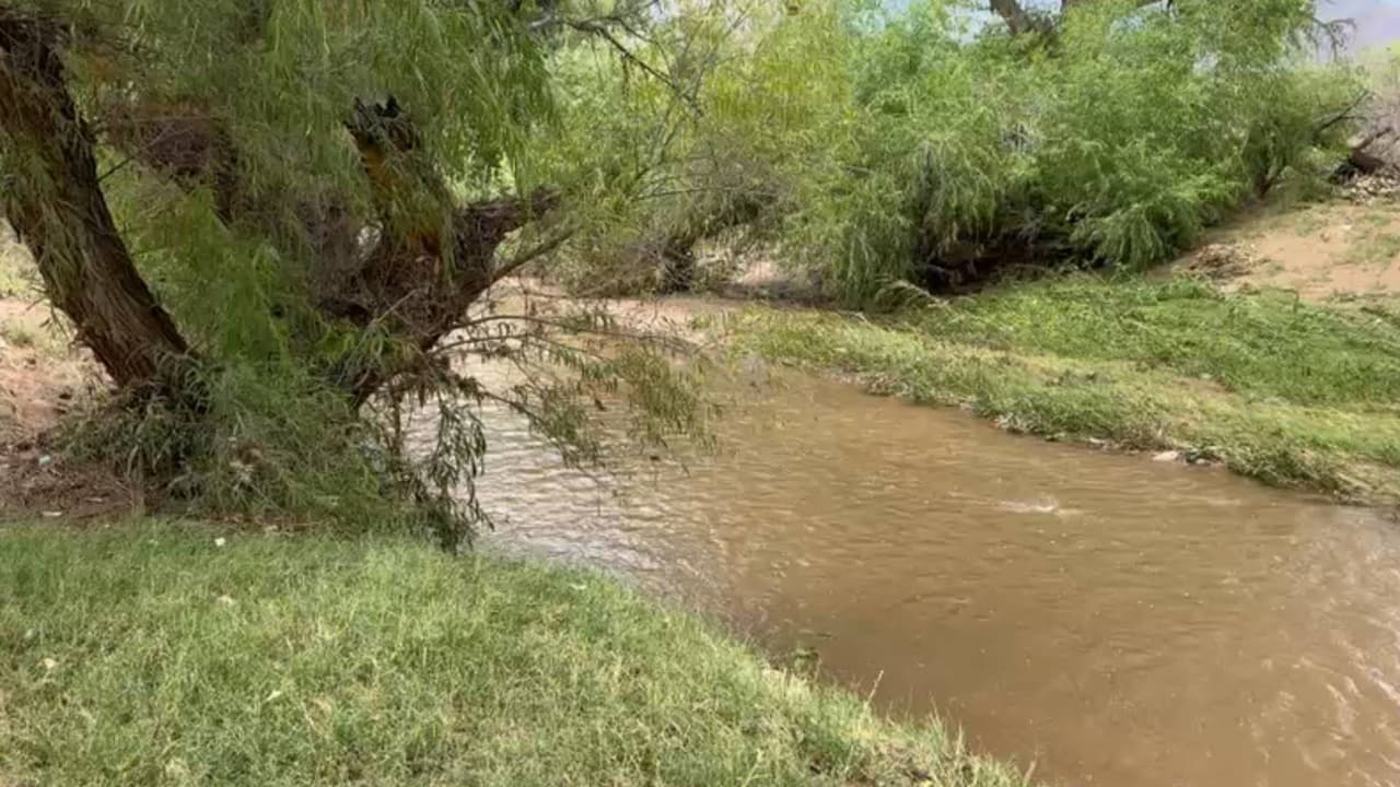 Operativo binacional para rescatar dos cuerpos posiblemente de mexicanos arrastrados hasta Arizona