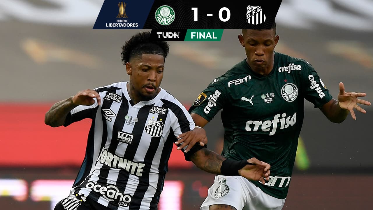 Palmeiras 1-0 Santos: marcador, resultado y goles