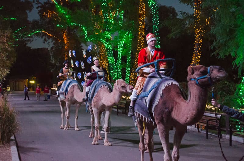 ¡Phoenix Zoo festeja Día de Reyes!