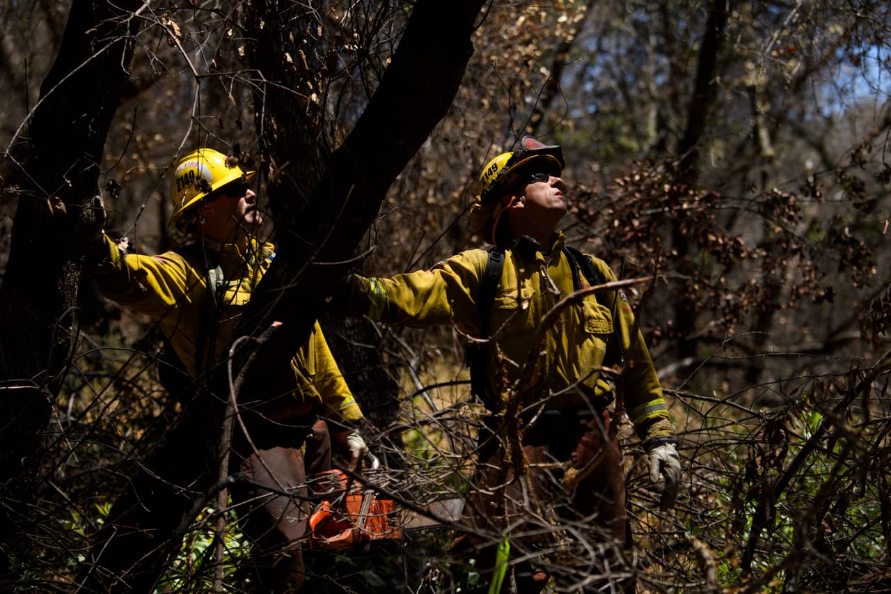 Bomberos estatales de Cal Fire trabajan para retirar elementos que podrían acelerar un incendio, a finales de mayo cerca de Oroville, California. Seis de los peores 20 incendios del estado
<a href="https://www.fire.ca.gov/media/4jandlhh/top20_acres.pdf" target="_blank">ocurrieron en 2020. </a>