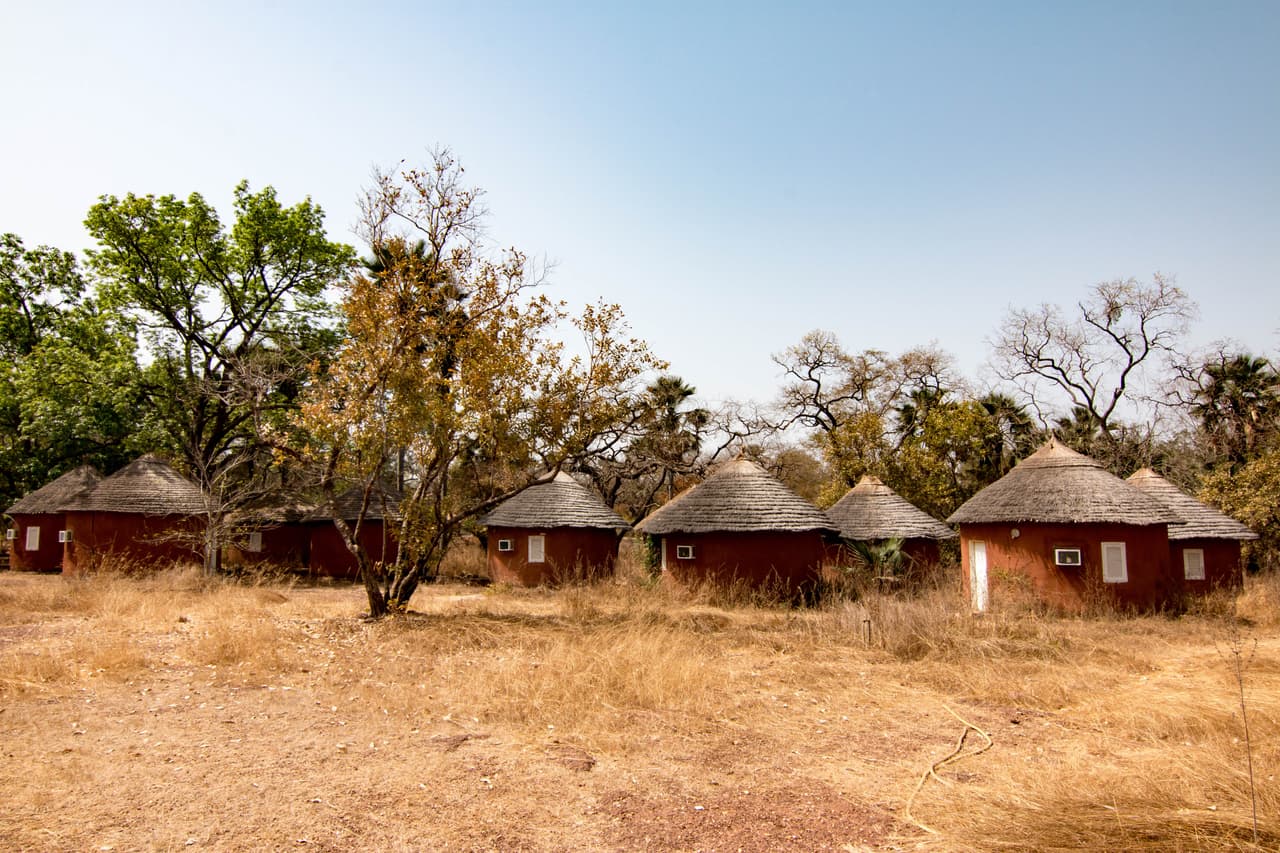 <b>Senegal</b>
<br>
<br>
<b>Parque nacional Niokolo-Koba.</b>
<br>
<br>Según la UNESCO, este patrimonio está amenazado por “
<a href="https://whc.unesco.org/en/list/153"><u>la caza furtiva, los incendios forestales, el secado prematuro de estanques y la invasión de las plantas</u></a>. A esto hay que sumar el crecimiento de la población y la pobreza del suelo en los alrededores, lo que ha provocado la invasión de tierras agrícolas y el pastoreo del ganado en el parque”.