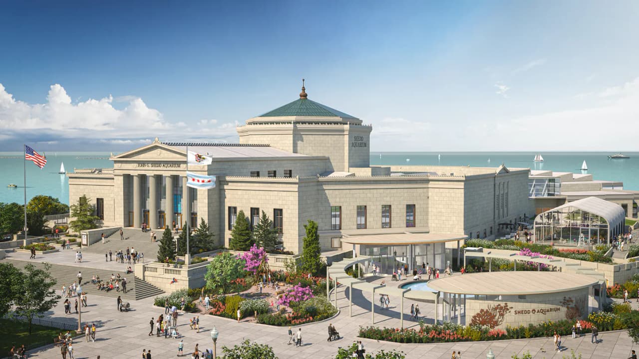 Puedes visitar la página web de Shedd Aquarium en para obtener más información de los cambios en este sitio.