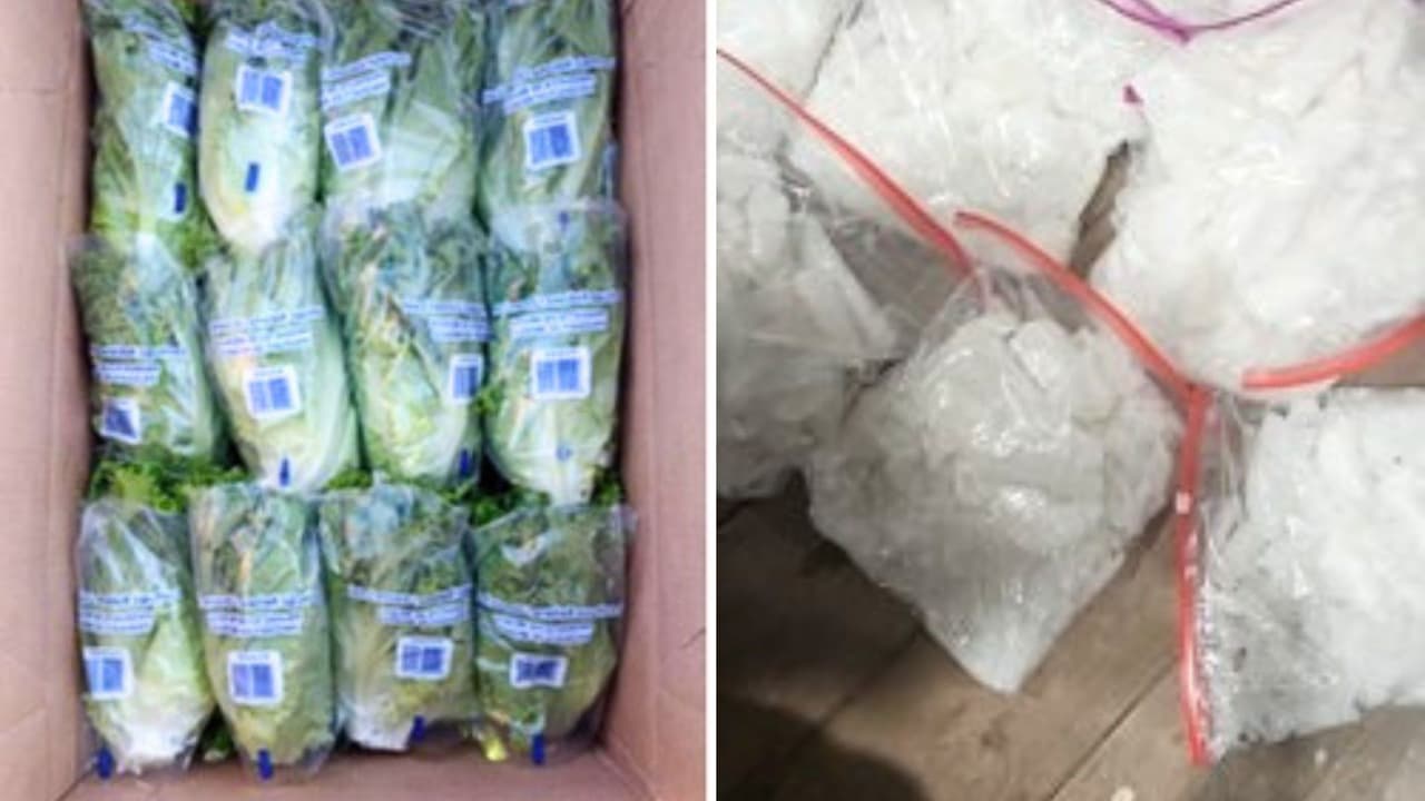 Tras su última deportación, Leija entró de nuevo a Estados Unidos ilegalmente en el verano del 2024 y para mayo del mismo año ya estaba coordinando de nuevo el tráfico de un cargamento de 16 paletas de lechuga rellenas con metanfetamina.
<br>
<br>El Fiscal del Distrito oeste de Texas, Justin R. Simmons, dijo que Leija coordinó y organizó el contrabando de la lechuga y de otros cargamentos en julio, agosto y septiembre del 2024.
