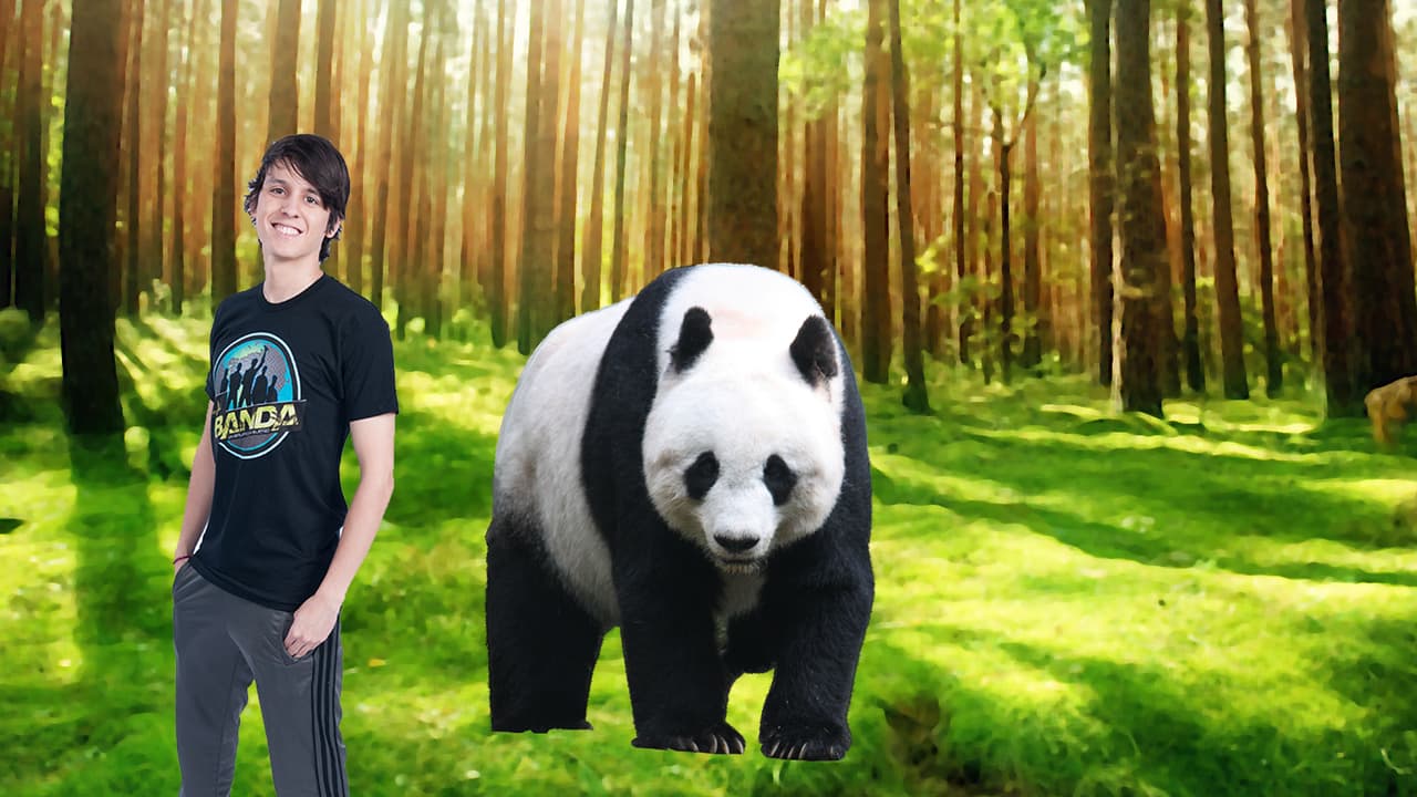 Los osos pandas siempre han sido los favoritos de Christopher.