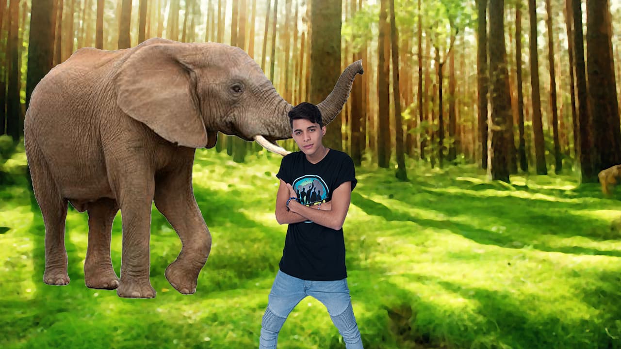 Erick dejaría a todos con la boca abierta al llegar encima de un elefante a los ensayos.