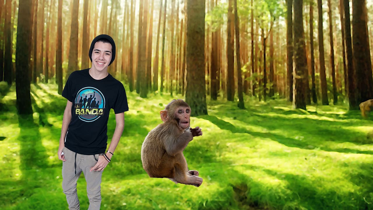 Yoandri tiene una debilidad sobre los monos con ojos grandes. So cute!!!