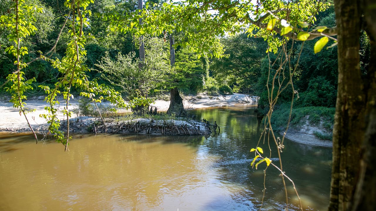 A primera vista, las aguas del arrollo pueden verse intimidantes por el color pardo, pero esto se debe al ácido tánico de los árboles en descomposición. Hay bañistas locales que conocen bien el sector y pueden dar recomendaciones sobre la profundidad o la fuerza de la corriente. Aunque las aguas son calmadas, la decisión de meterse es personal y hay que tener en cuenta que no hay salvavidas o socorristas.