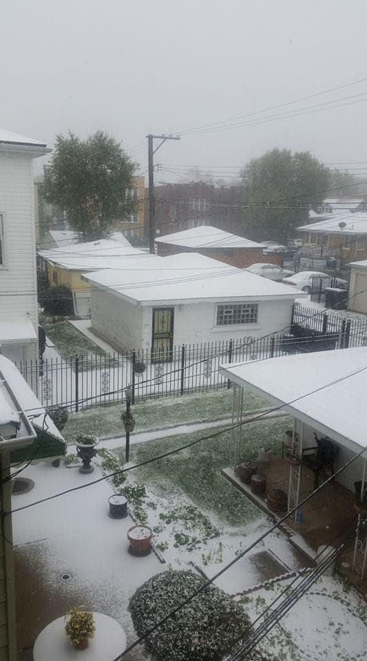 La Ciudad de los Vientos se pintó de blanco este viernes con la primera nevada del año que dejó un poco de acumulación en las calles y nos regaló fotos que parecen salidas de una postal.