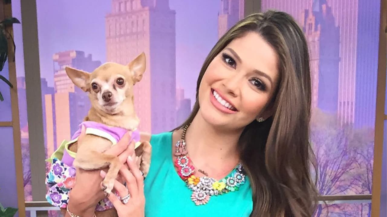 ¡Hogar, dulce hogar! Ana Patricia regresa a Despierta América. (27 de julio)