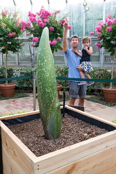 El martes el jardín estuvo abierto hasta la 2 am.