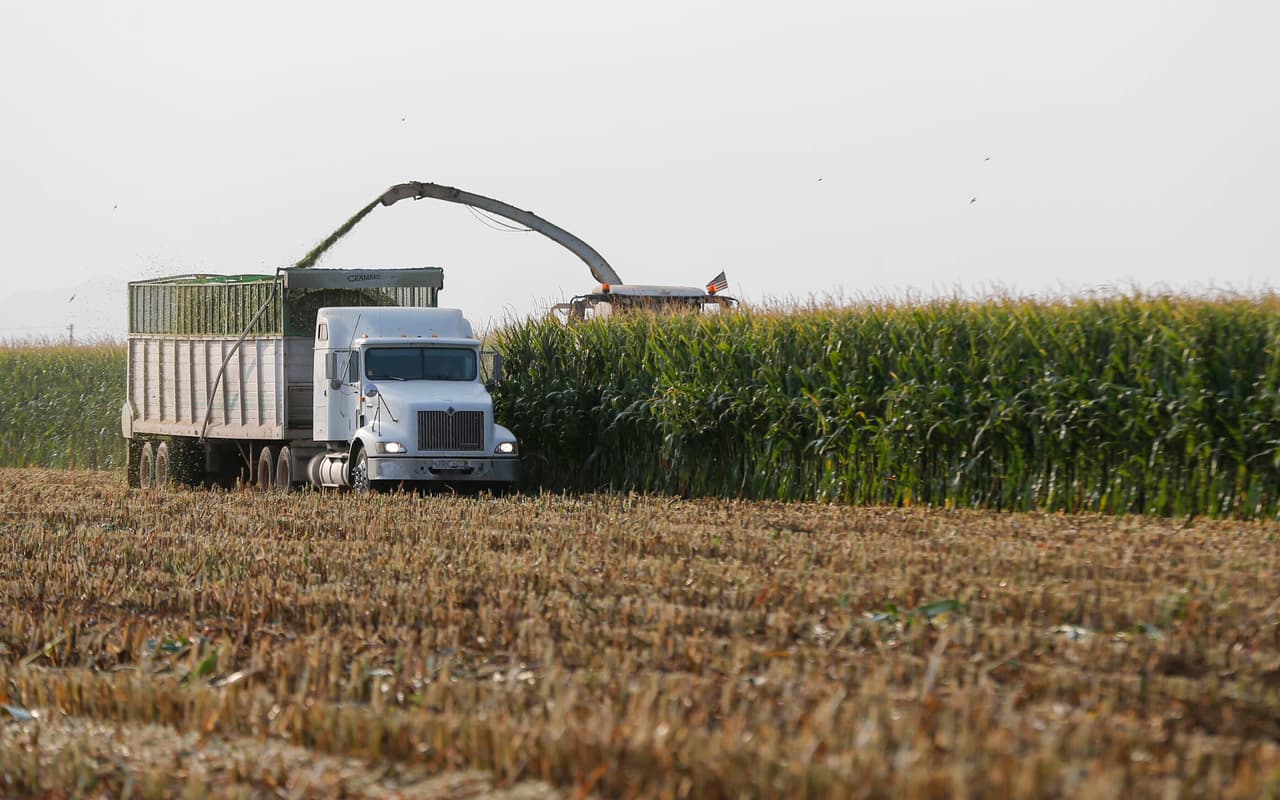 La orden de la agencia gubernamental afecta principalmente a los agricultores de
<a href="https://www.univision.com/temas/arizona">Arizona</a>. El condado de Pinal es el principal productor de algodón, cebada y ganado del estado. Los agricultores han encontrado formas de usar el agua de manera más eficiente, pero cada vez más deben recurrir al bombeo de agua subterránea.