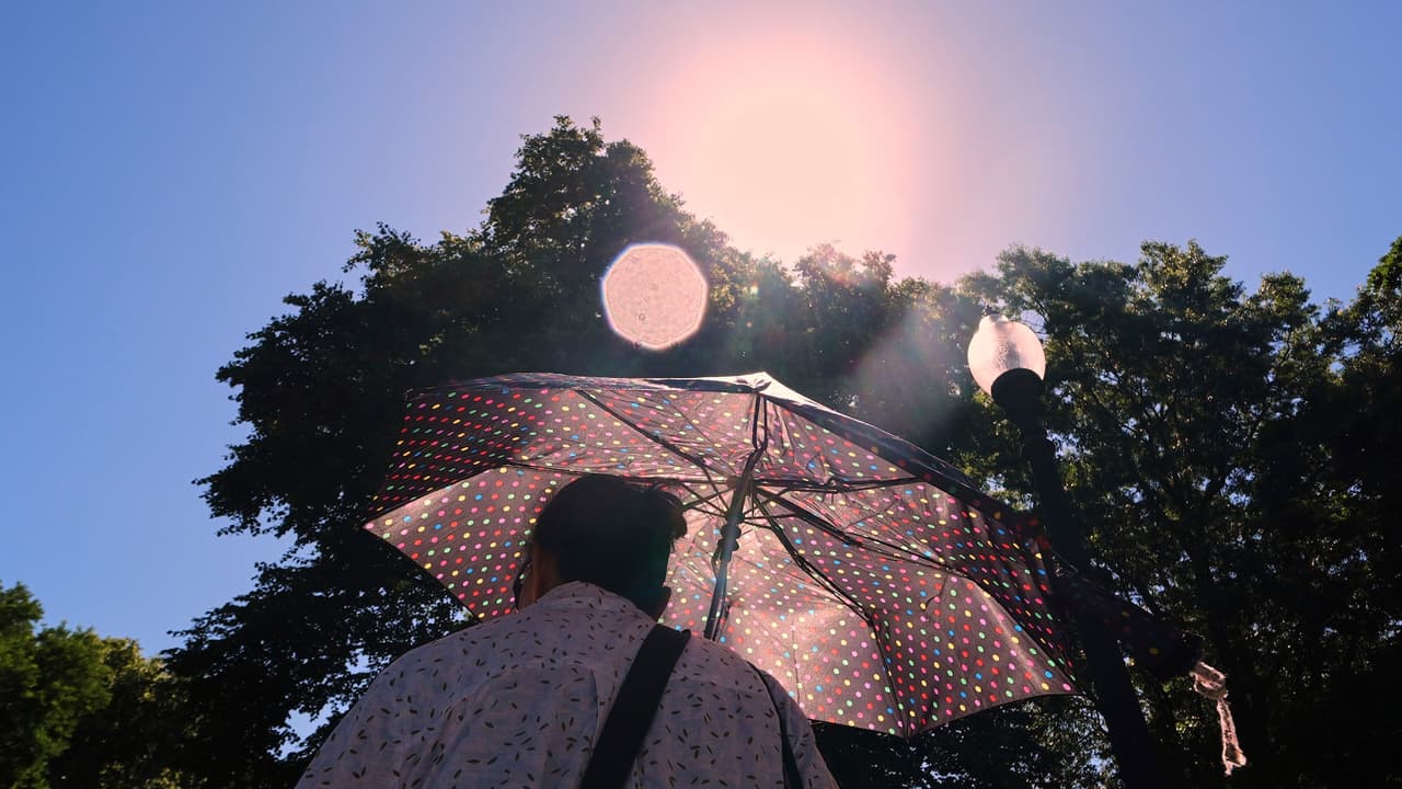 Alerta por calor en Nueva York: dónde encontrar centros de enfriamiento y cómo protegerse