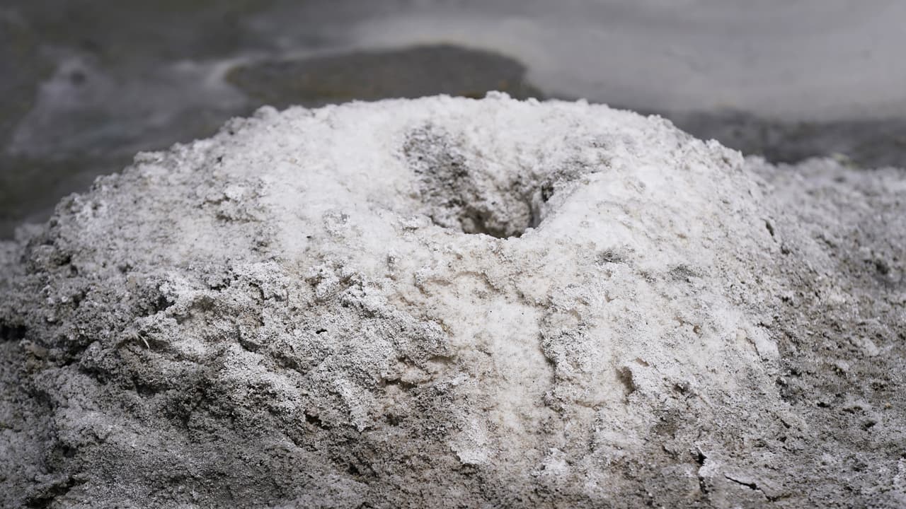 Un montículo de Primavera de Mirabilita (Sal de Glauber) se muestra en el Gran Lago Salado.