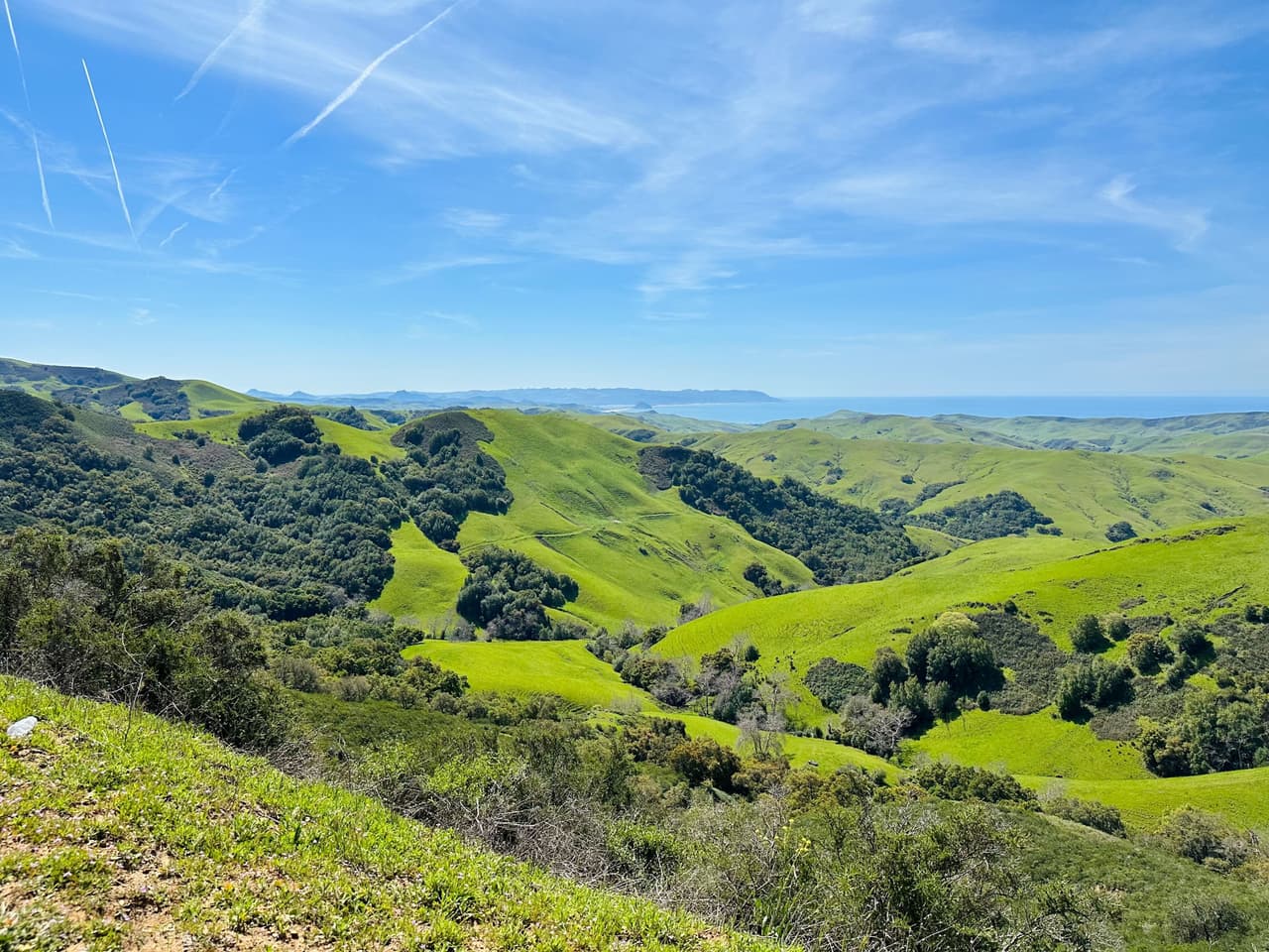 Vale la pena visitar
<b>Cambria</b> por sus senderos frente a la playa y acantilados, su encantador pueblo, y sus excelentes
<b>opciones de comida y bebida. </b>También está cerca del espectacular
<b>Castillo Hearst </b>y de la colonia de elefantes marinos.
<br>