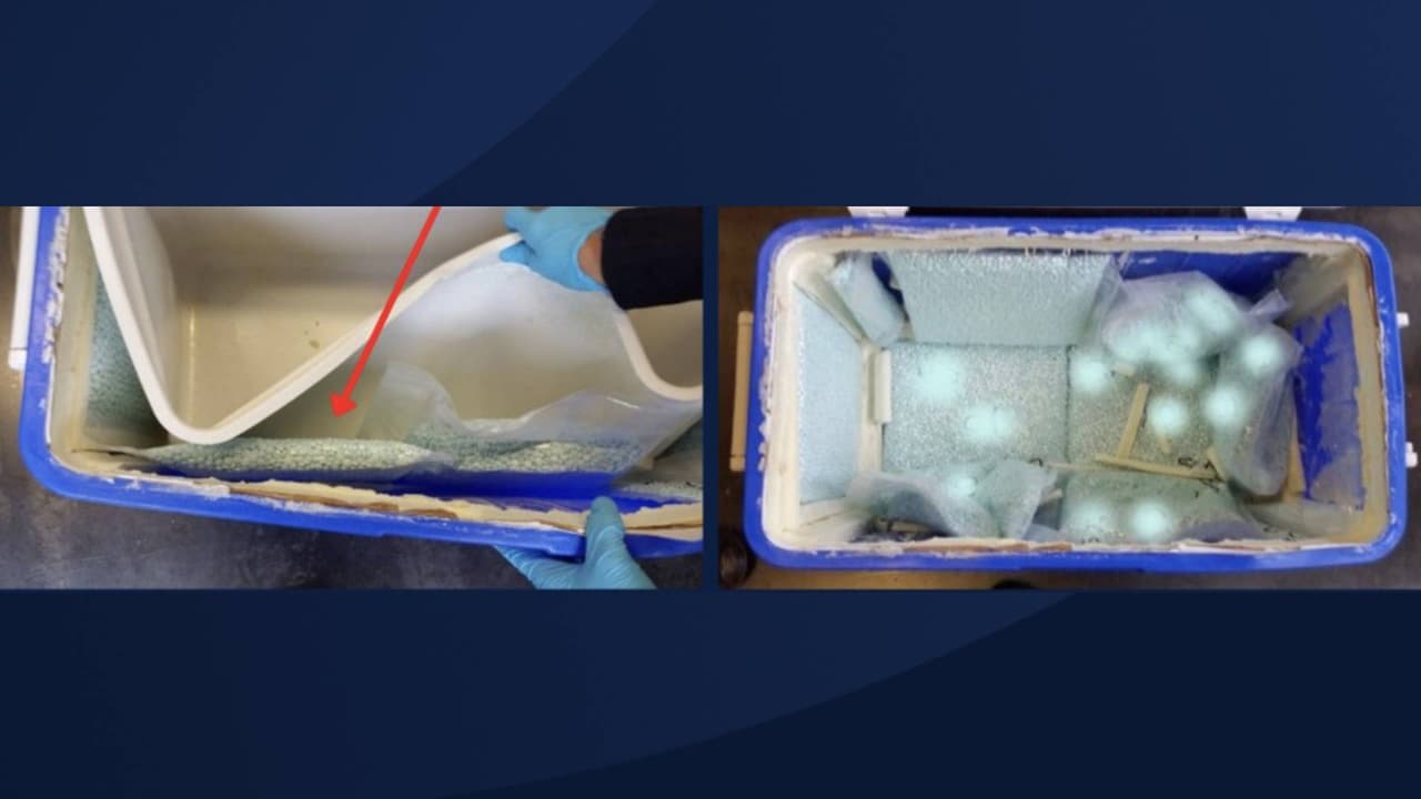 Los Agentes de Aduanas y Protección Fronteriza descubrieron casi 80,000 pastillas de fentanilo escondidas en una hielera. El valor en el mercado negro es de $248,000, según las autoridades.
<br>