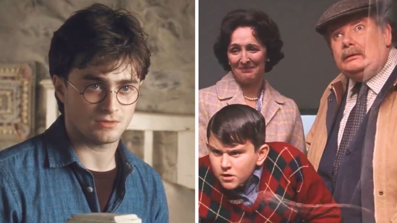 Por culpa de Harry Potter sus tíos Dursley se volvieron malvados: teoría de los fans