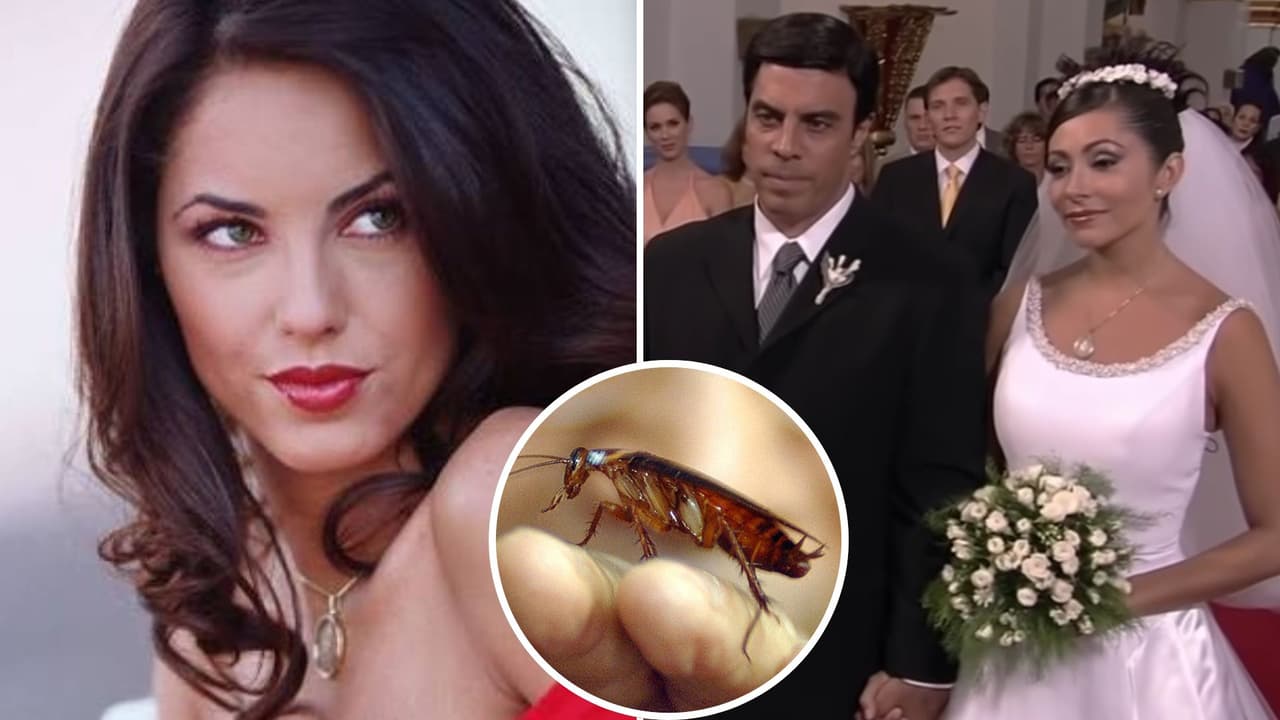 Fans encuentran una cucaracha en escena de 'Rubí' 20 años después: ¿la habías notado?