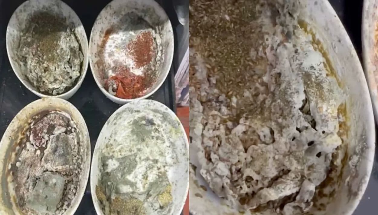 Exhiben moho, gusanos y cucarachas en cocina que prepara comida para cientos de vuelos en Los Ángeles
