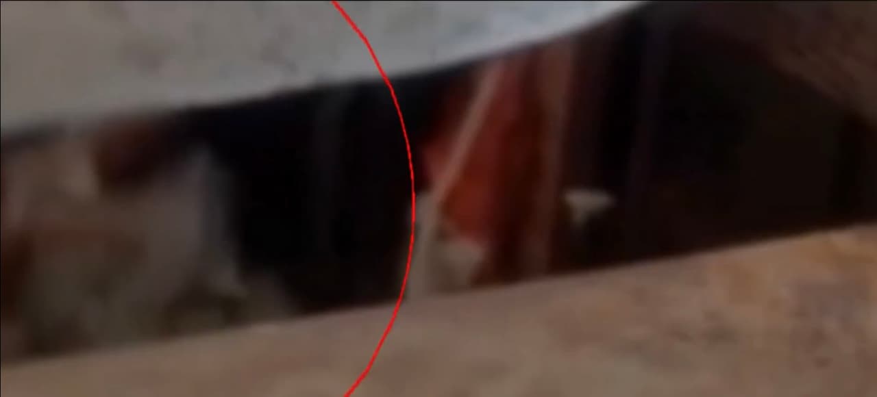 Harta de escuchar todos los días el llanto de la bebé, una mujer decidió subir hasta la azotea de su casa y grabar con su celular por medio de un agujero hasta la vivienda aledaña a su casa donde pudo observar a una mujer golpeando brutalmente a una pequeña de nueve meses.
<b>“Oiga señora, ¡la va a matar!”</b>, se escucha el reclamo de la vecina, al ver cómo en esa casa del municipio colombiano de Chía se golpeaba en la cabeza y espalda a la bebé, para después sacudirla salvajemente.
<br>